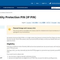 Identity Protection PINs Available to All Taxpayers (in January)