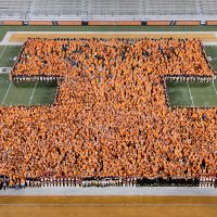 Tax Amnesty Program for Illinois taxpayers and preparers