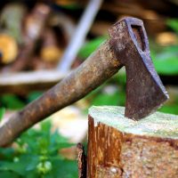 Unreimbursed Partners’ Expenses (and Paul Bunyan?)