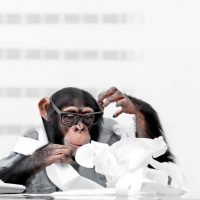 Extension Deadline is October 15